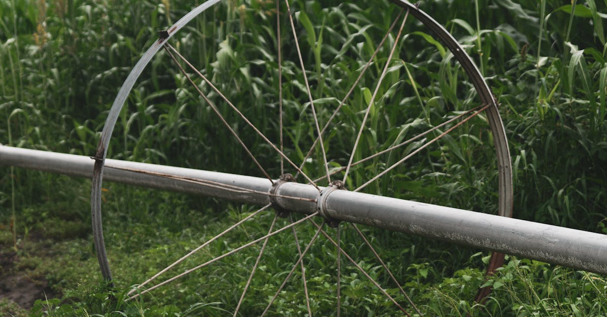 Who is eligible for the NSW water tank rebate?